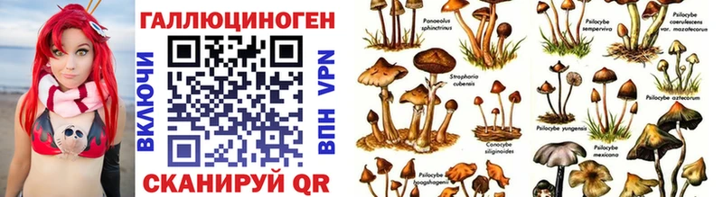 kraken ТОР  Луза  Галлюциногенные грибы мухоморы  закладка 